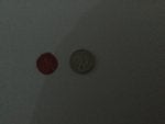 Sand dollar Circle Currency Money Coin