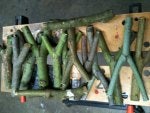 My natural slingshots.jpg