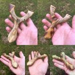 Hand Green Leaf Wood Organism