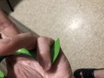 Hand Finger Creative arts Terrestrial plant Thumb