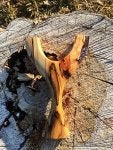 Wood Branch People in nature Trunk Gesture