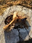 Wood Trunk Natural material Tints and shades Fungus