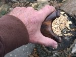 Leg Human body Gesture Wood Finger
