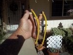 Plant Botany Flowerpot Houseplant Gesture