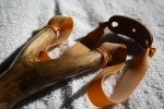 Liquid Wood Cosmetics Eyewear Body jewelry