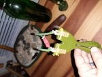 Tableware Green Food Bottle Dishware