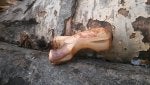 20160130_092155.jpg