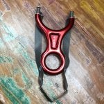 Plant Wood Automotive lighting Bicycle part Bumper
